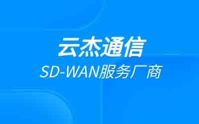 sdwan 国内市场份额