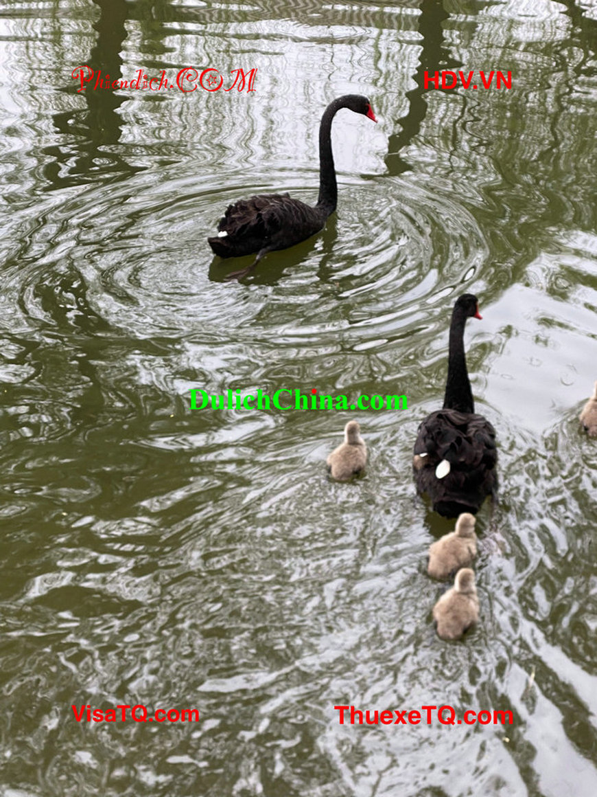 Dịch vụ thuê hướng dẫn viên nói tiếng Việt đi khám phá Di Hòa Viên Bắc Kinh.