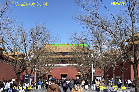 Xu Hướng Gia Đình Việt Thuê Hướng Dẫn Viên Tiếng Việt Tại Bắc Kinh 2026