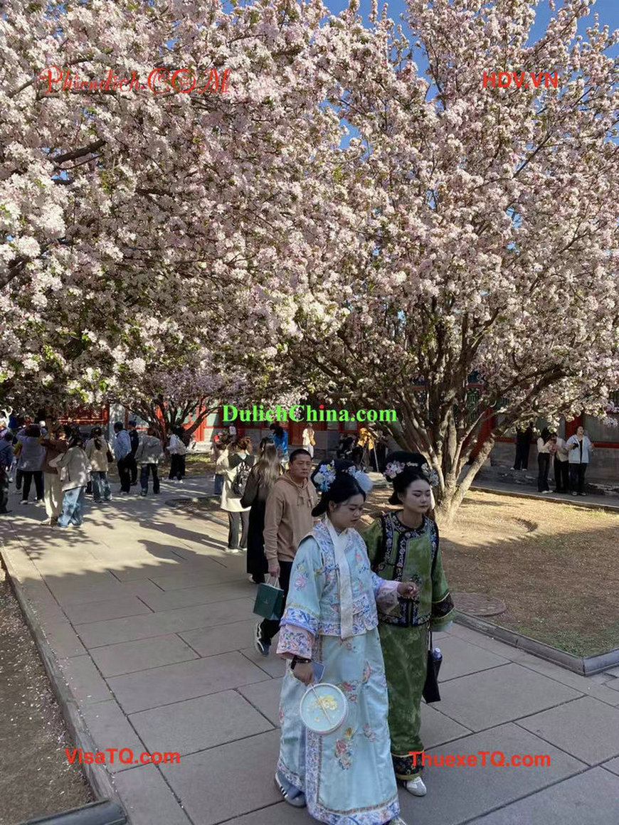 Gia đình Việt thuê hướng dẫn viên nói tiếng Việt ở Bắc Kinh 2026.